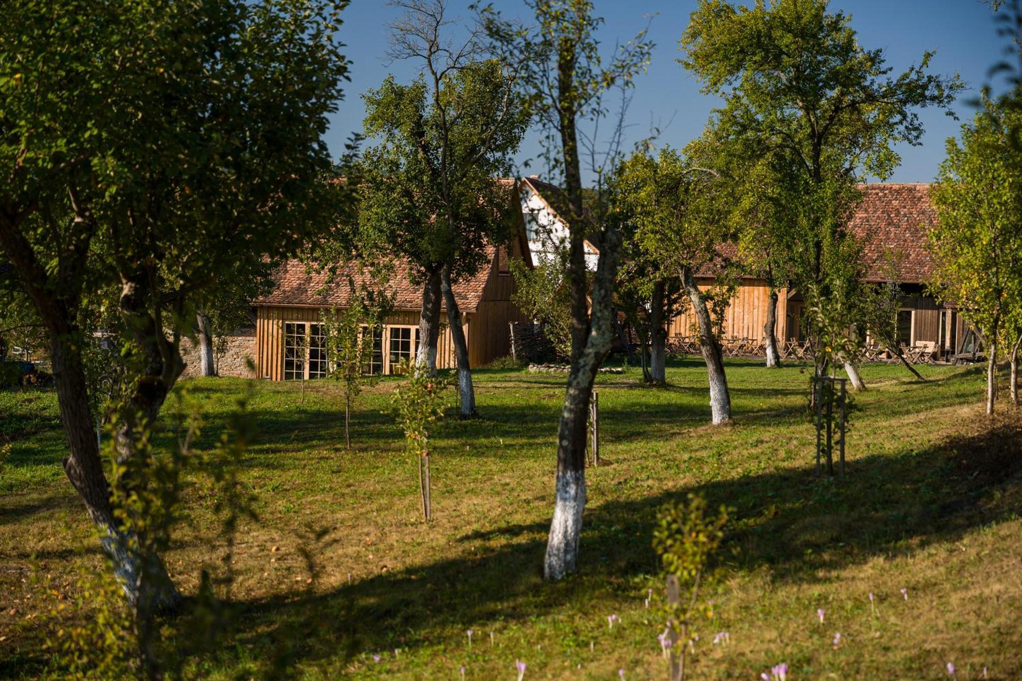 Bed and Breakfast Mesendorf Gasthaus Zewnętrze zdjęcie